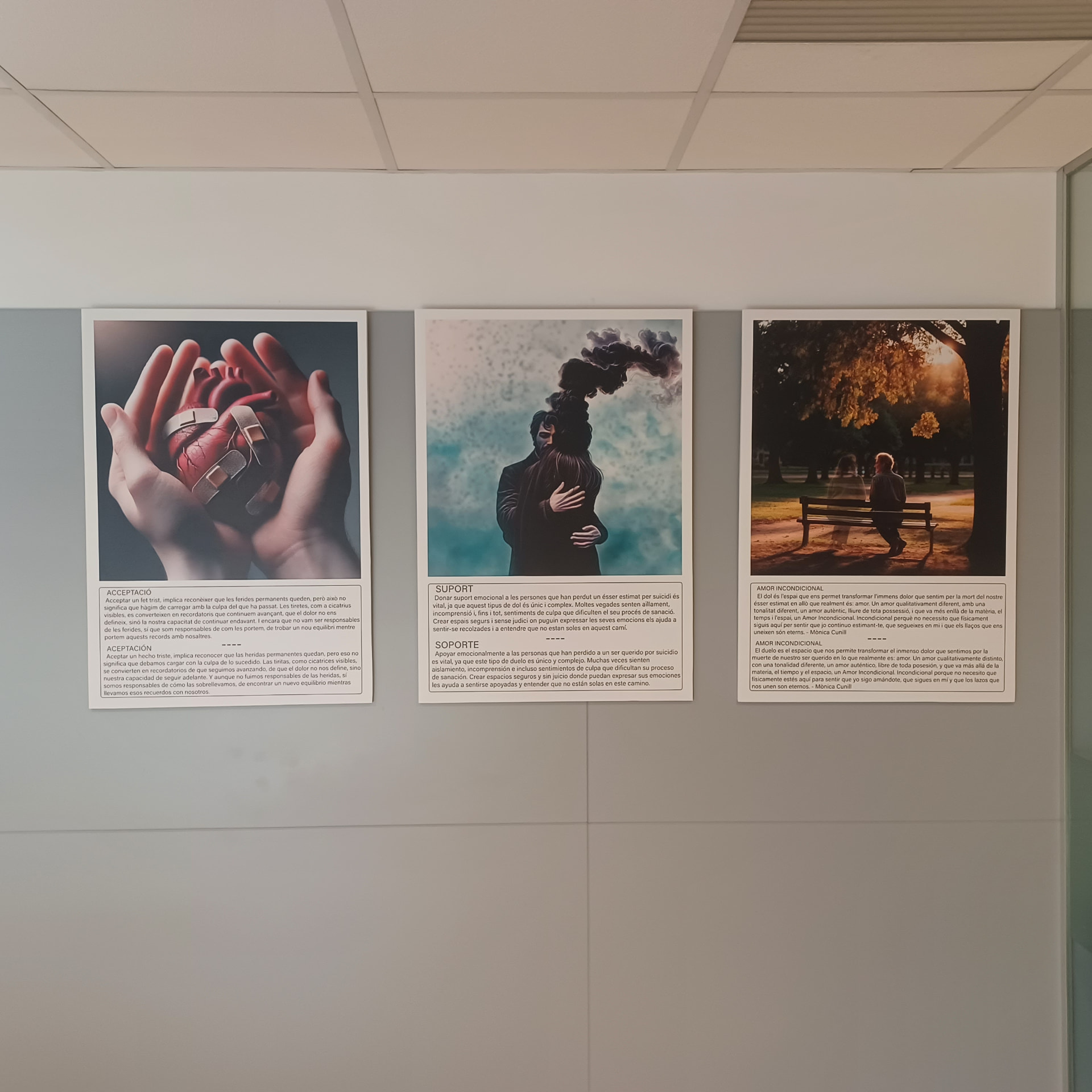 Fotografia 19 de l’exposició