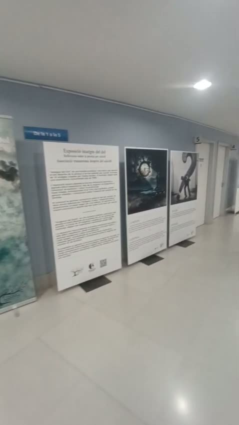 Vídeo de l’exposició